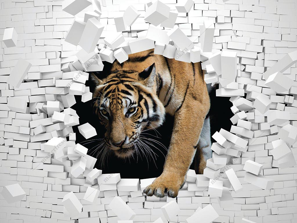 Фотообои Тигр в стене 3D