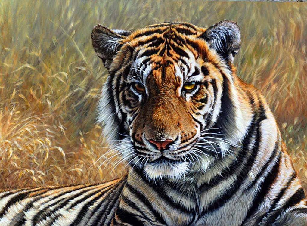 Фотообои Тигр в саванне